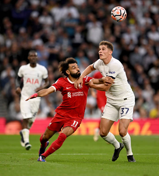 甚至據傳籃 甚至據傳籃